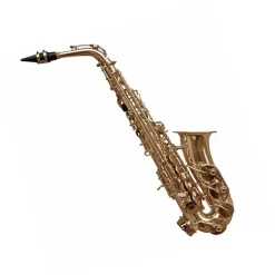 Saxo Alto Baldassare 6430L GD