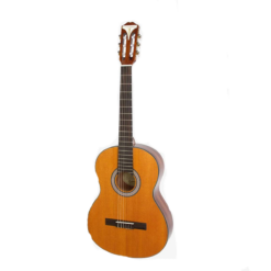Guitarra Acustica Epiphone PRO-1/NATURAL EAP2ANCH1