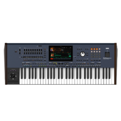 Teclado Profesional de 61 Teclas korg PA5X-61