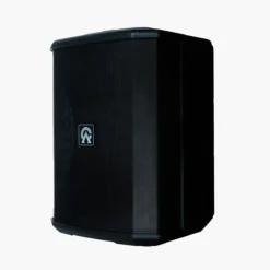 Parlante Activo 6.5 Speaker Custom Audio  M4T