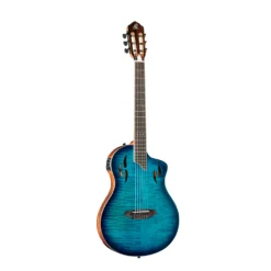 Guitarra Electrica ORTEGA  RTPDLX-FMA