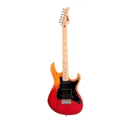 Guitarra Electrica CORT  G200DX-JSS