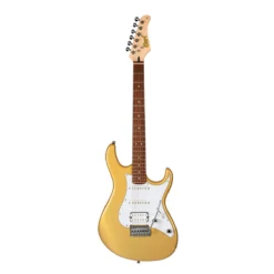 Guitarra Electrica CORT G250-CGM