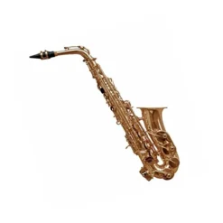 Saxo Alto BALDASSARE   6430L GD